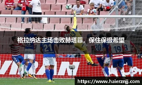 博鱼